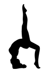 intro-ic